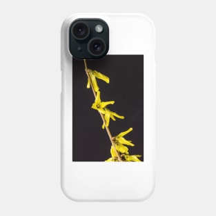 Forsythia Flowers 2 Phone Case