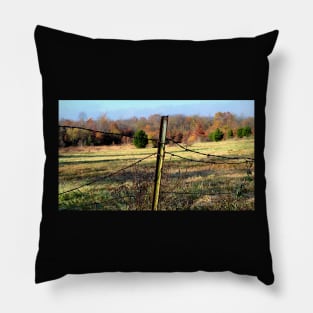 Barbed wire fence Pillow