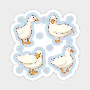 Cute Ducks pack Magnet