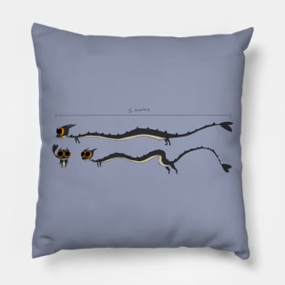 Bean measurements Pillow