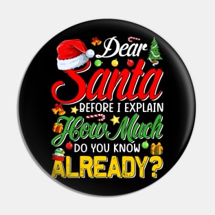 Dear Santa Before I Explain How Much Do You Know Already T-Shirt Pin