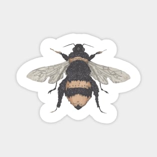 Bee, the gardener's friend. Buzzing! On sky blue. Magnet