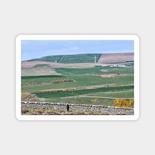 A patchwork of fields on the Mull of Galloway, Scotland Magnet