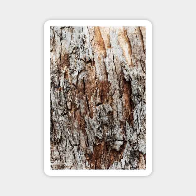 Rustic Orange & Brown Tree Trunk - Alternative Magnet by textural