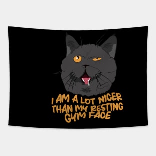 Funny Cat Resting Gym Face Tapestry