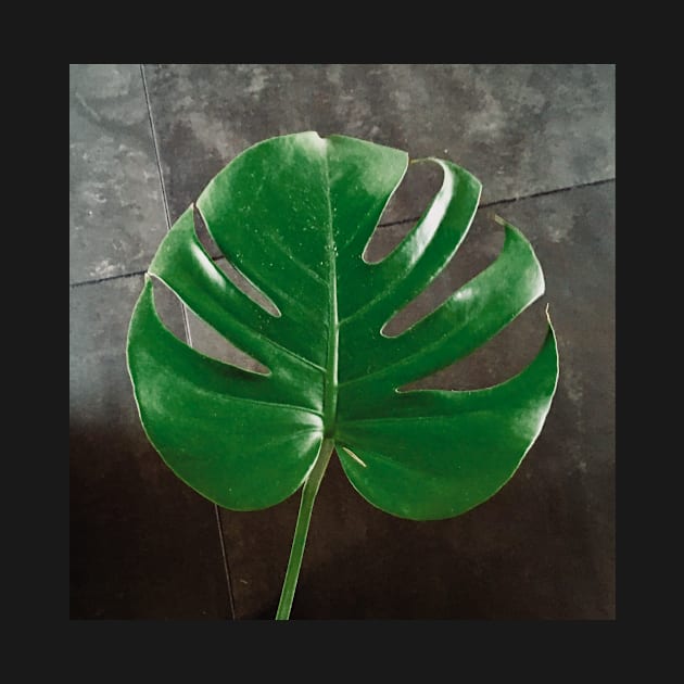 Monstera leaf by BlackWhiteBeige