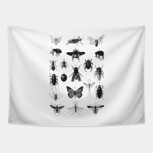 Insect Study on White INS950 Tapestry