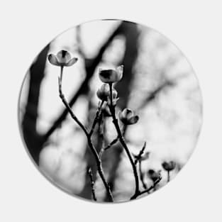 delicate buds in monochrome Pin