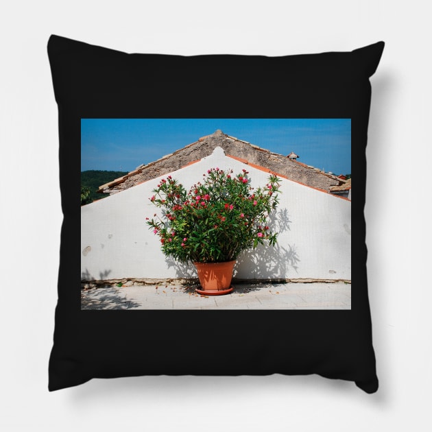 Oleander in Pican Pillow by jojobob