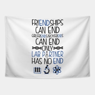 Lab Partner Chemistry Tapestry