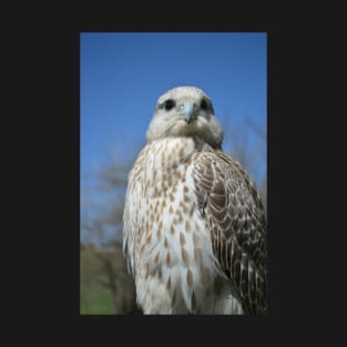 White Falcon T-Shirt