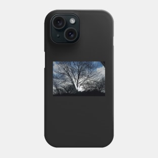 Tree in wintertime Phone Case