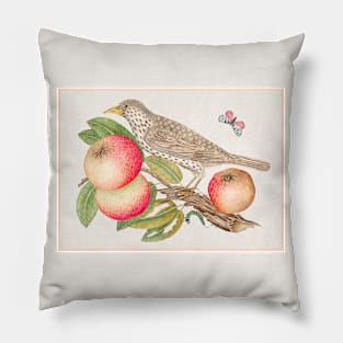 Brown Bird on Apple Branch with Caterpillar (18th Century) Pillow