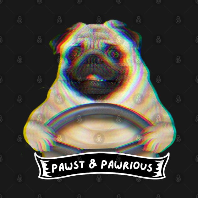 driving pug by Yas R