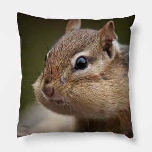 Chipmunk Pillow