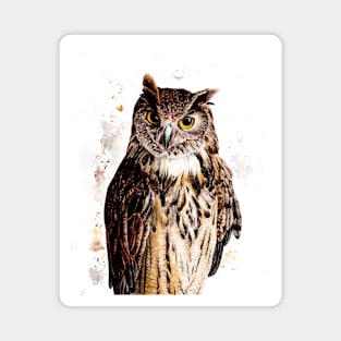 Owl Watercolor Magnet