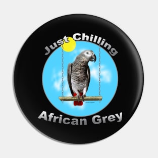 African Grey Congo Parrot Chilling Pin