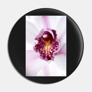 Pink orchid Pin