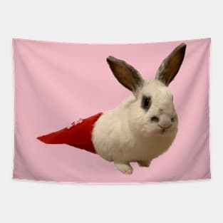 Jack in a Red Bag Tapestry