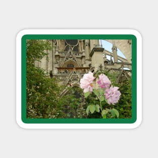 Paris Notre Dame de Paris Pink Rose Bush Magnet