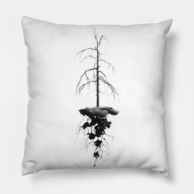 Nature Space Pillow by hitext