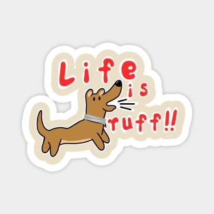 Funny Dog Magnet