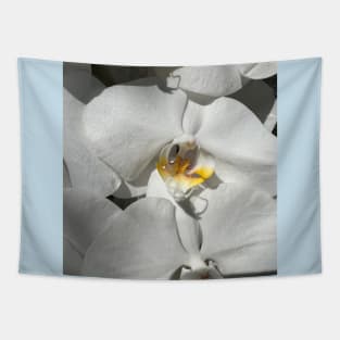 White Orchid Yellow Center Tapestry