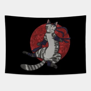 Ninja Tabby Cat Tapestry