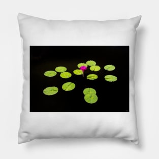 Lily Pads on Black Water Pillow