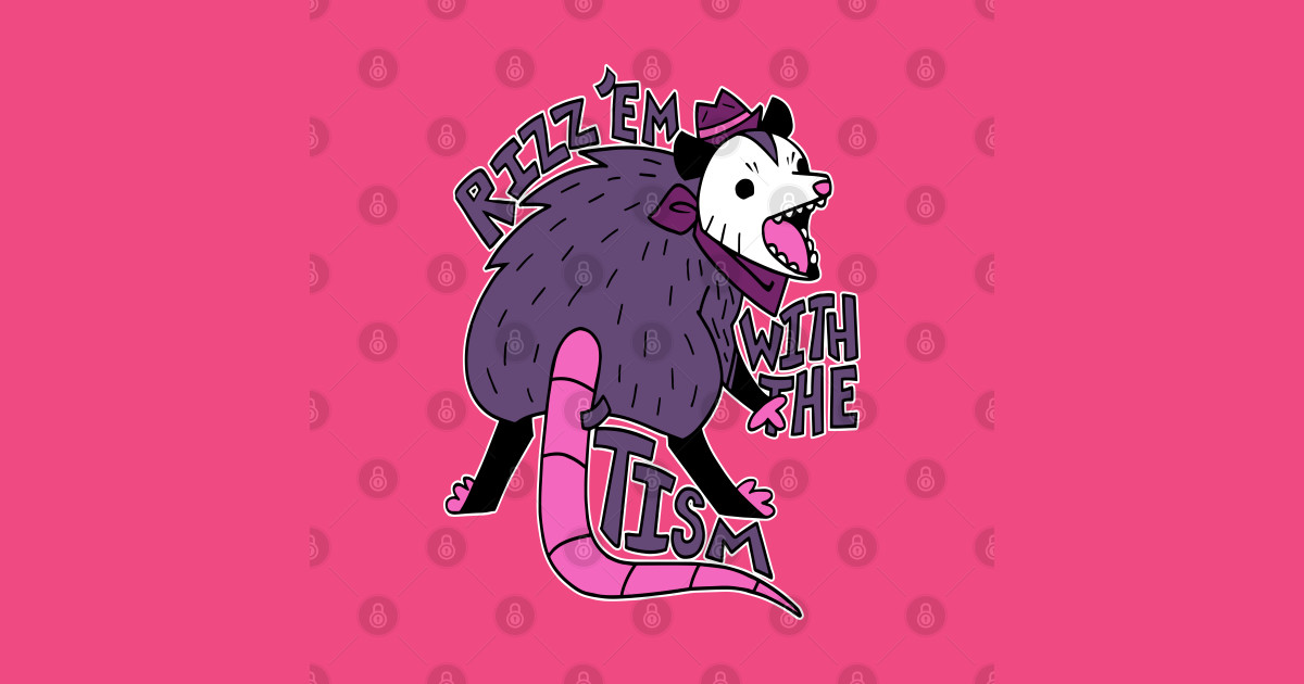 Autism Rizz Em With The Tism Autistic Possum - Rizz Em - T-Shirt ...
