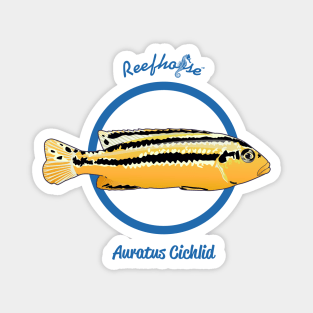 Auratus Cichlid Magnet