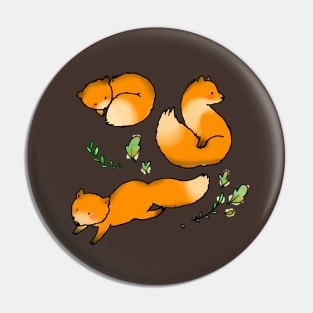 cute foxes Pin