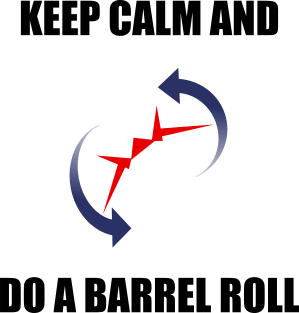 Do a Barrel Roll Magnet