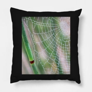 Spiderweb Pillow