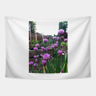 Fresh edible chive blossoms Tapestry