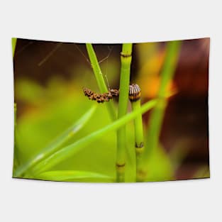 Green water bamboo stalk with seeds Tapestry