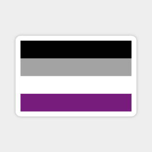 Asexual Pride Flag Magnet