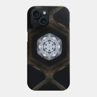 Creepy Animal Skull abstract Art Phone Case