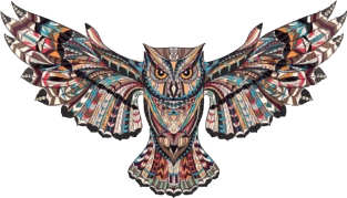 owl Magnet