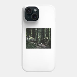 Forest Path Phone Case