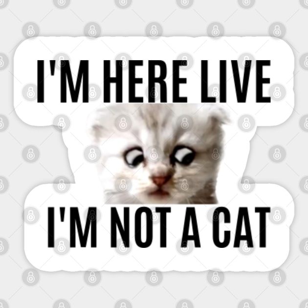 I M Here Live I M Not A Cat Zoom Meme Zoom Lawyer Judge Im Here Live Im Not A Cat Zoom Meme Sticker Teepublic I M Here Live I M Not A Cat Zoom Meme Zoom Lawyer Judge Im Here Live Im Not A Cat Zoom Meme Sticker Teepublic
