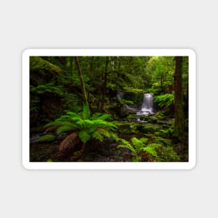 Horseshoe Falls III, Tasmania Magnet