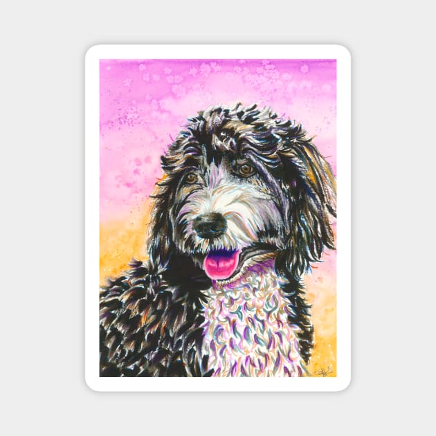 Bernedoodle Magnet by sambeawesome