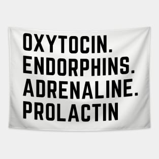 oxytocin endorphins adrenaline prolactin - Hormones of pregnancy and labour Tapestry