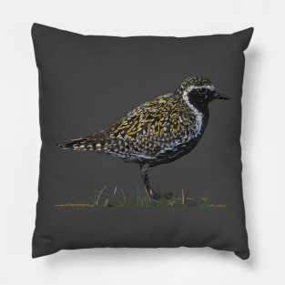 Kōlea, Pacific Golden Plover Pillow