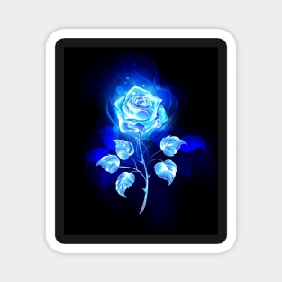 Burning blue rose Magnet