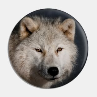 Arctic wolf Pin