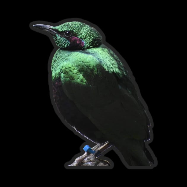 Emerald Starling by Sharonzoolady