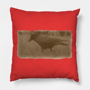 Vintage Crow Pillow