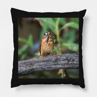 Malachite Kingfisher Pillow